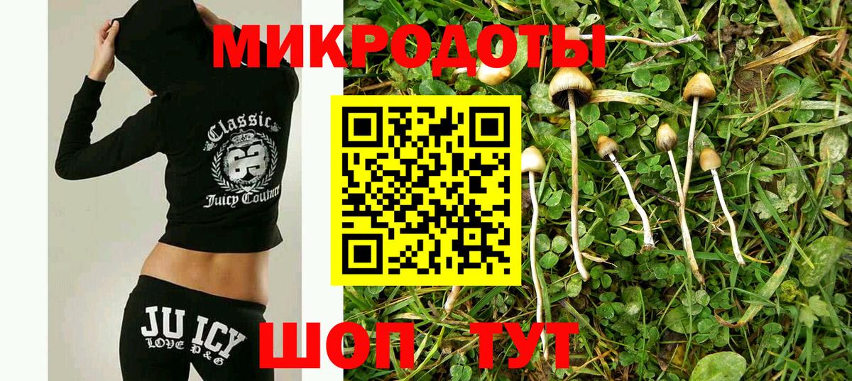 Галлюциногенные грибы мицелий  Псилоцибиновые грибы GOLDEN TEACHER  Вход с VPN  Ярославль 